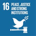 Promote peaceful and inclusive societies for sustainable development, provide access to justice for all and build effective, accountable and inclusive institutions at all levels.